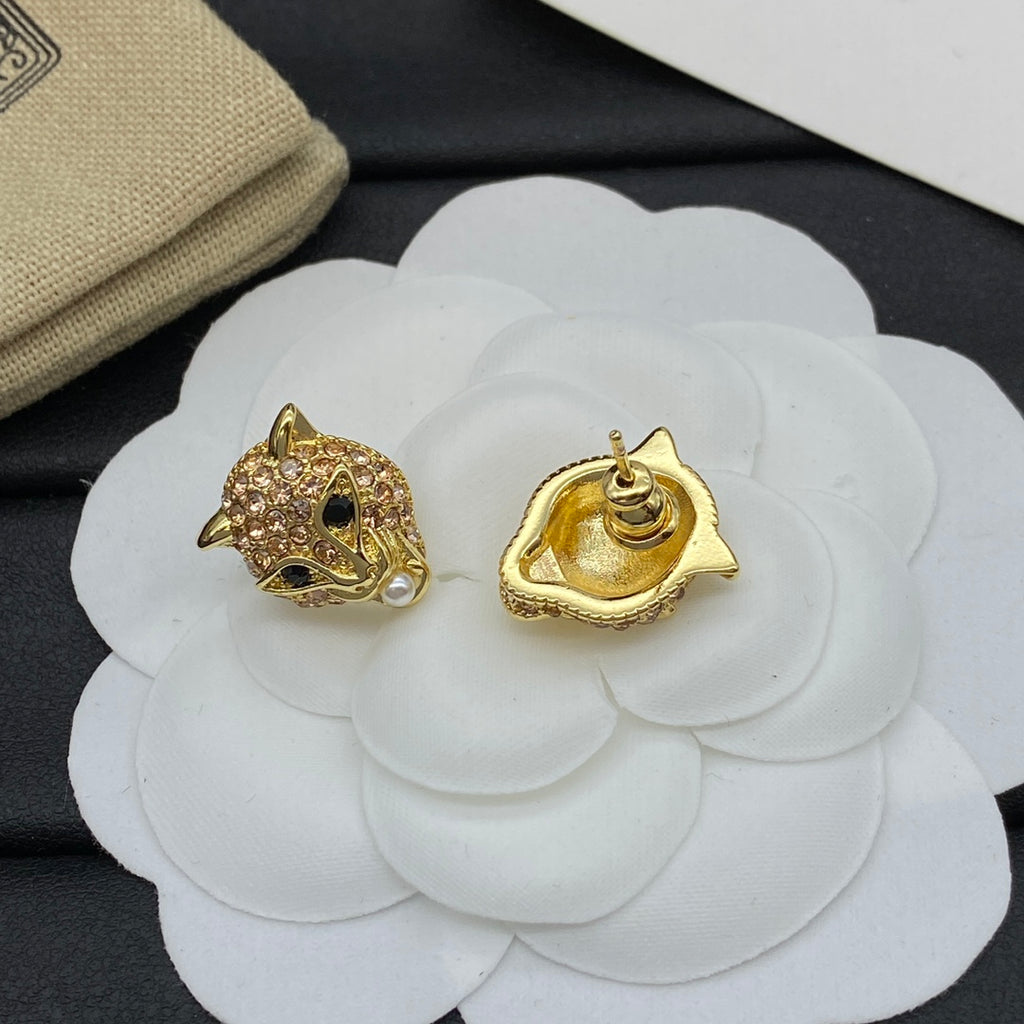 X1Z54B337E Popular  Earrings