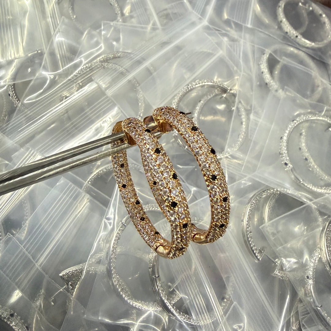 X5N46K10E Popular   Earrings