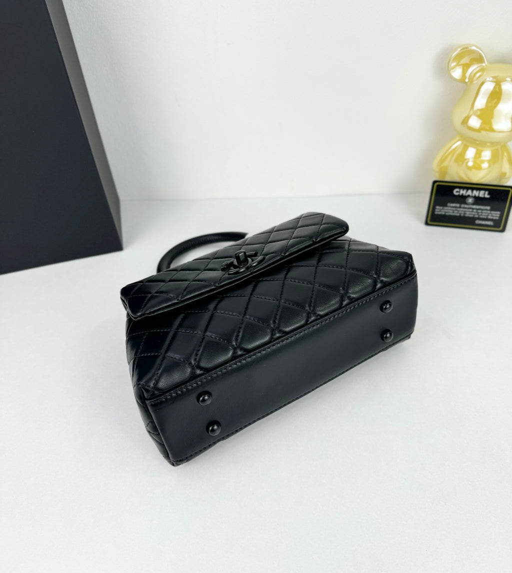 B1N55C25 Popular    Purse bags