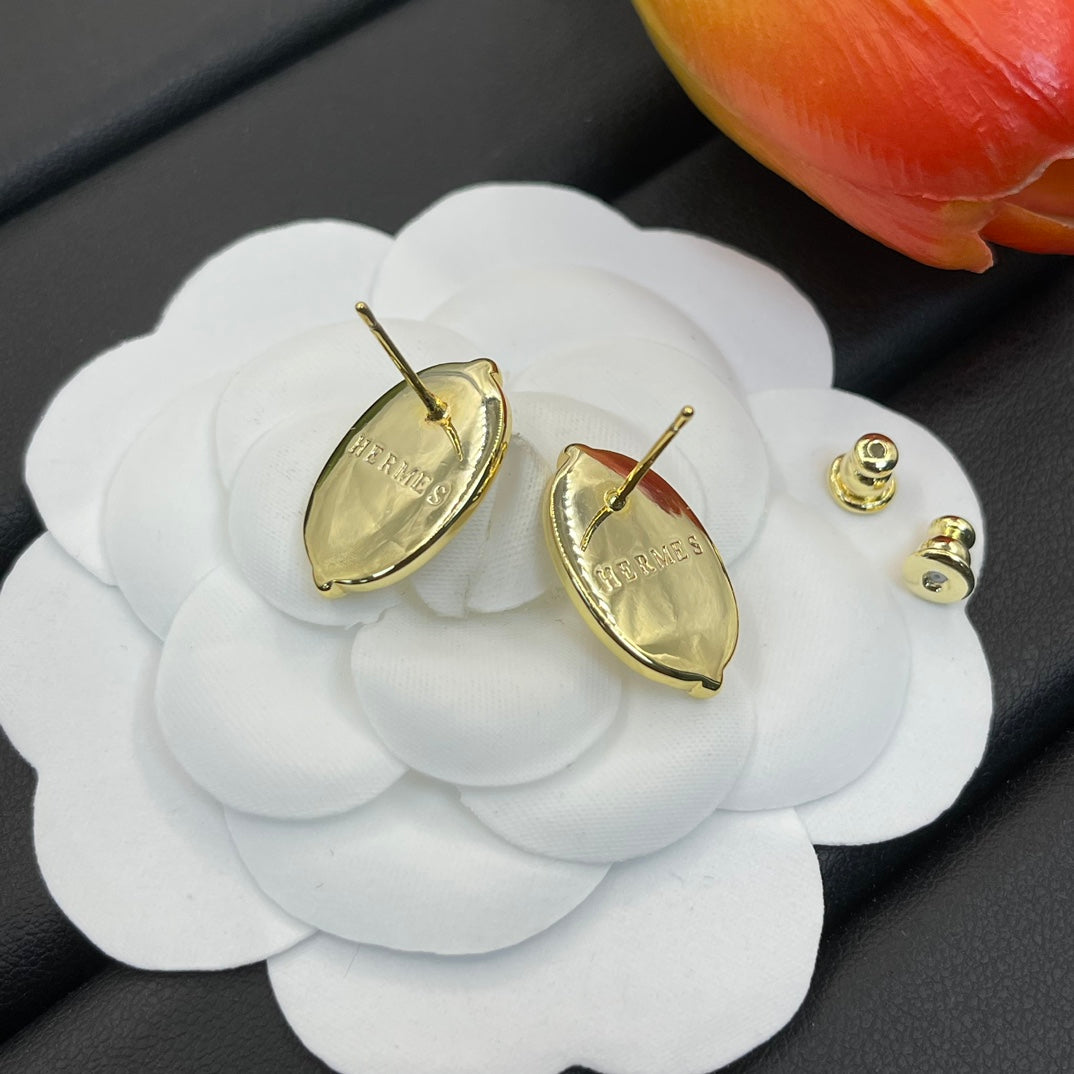 X1Z94H613E Popular  Earrings