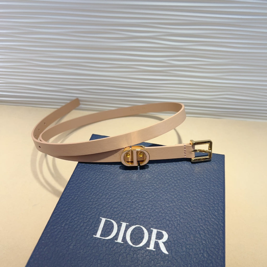 P1W15D181 Popular   High quality belt With full package