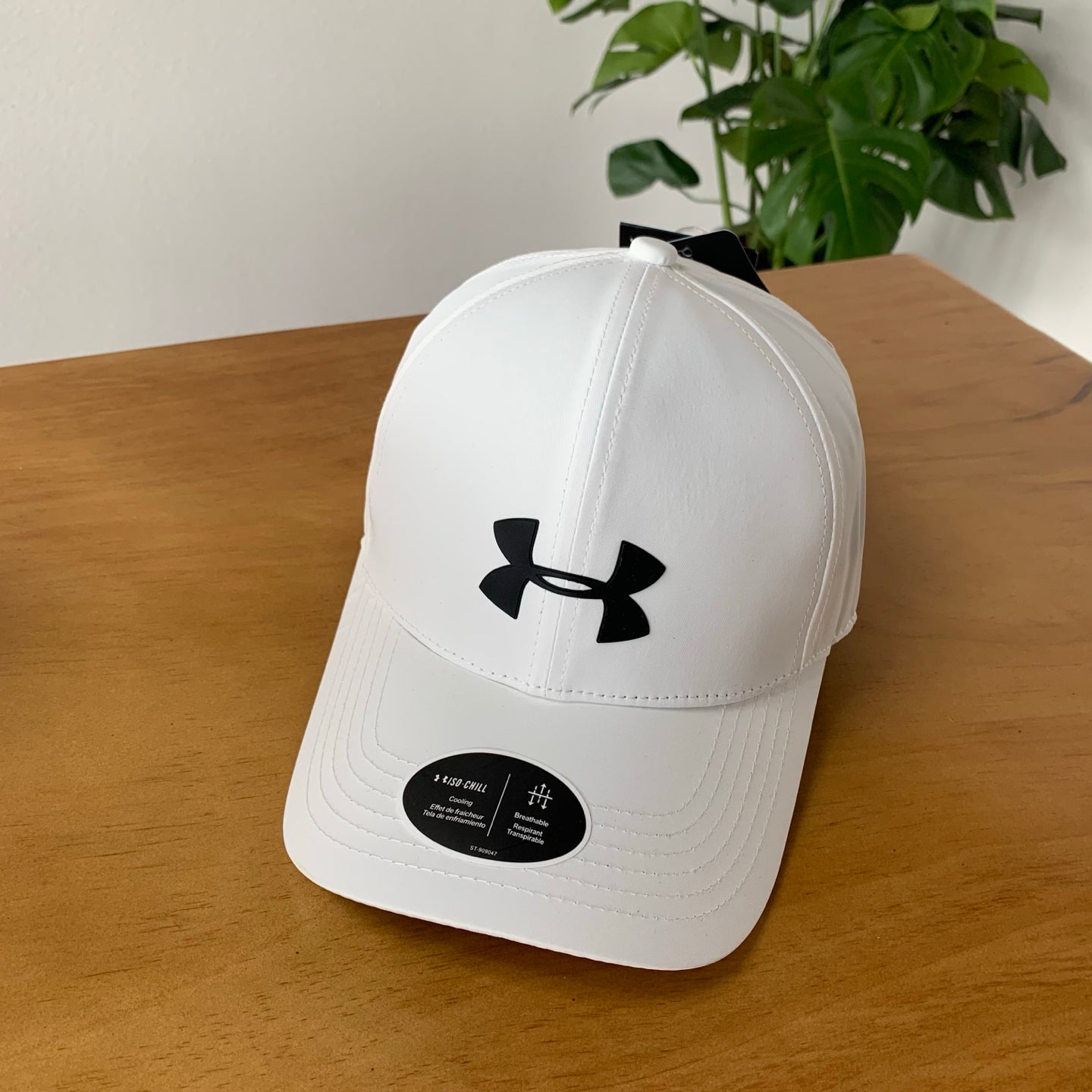 M1Z45A538 Popular  hats
