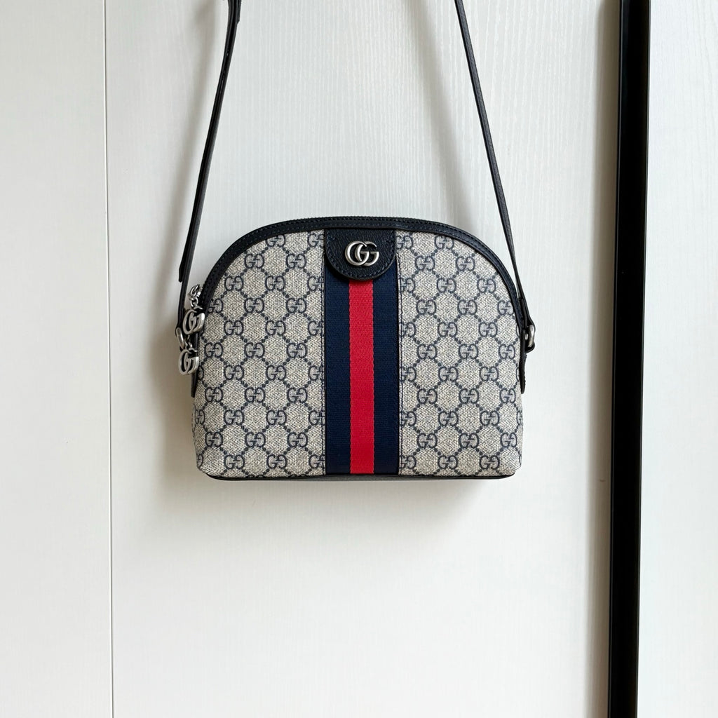 B1R15B126 Popular bag