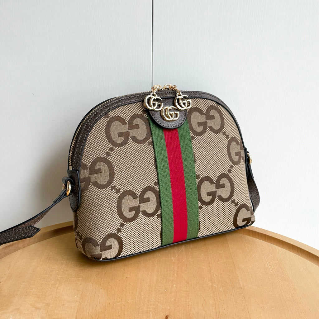 B1R15B126 Popular bag