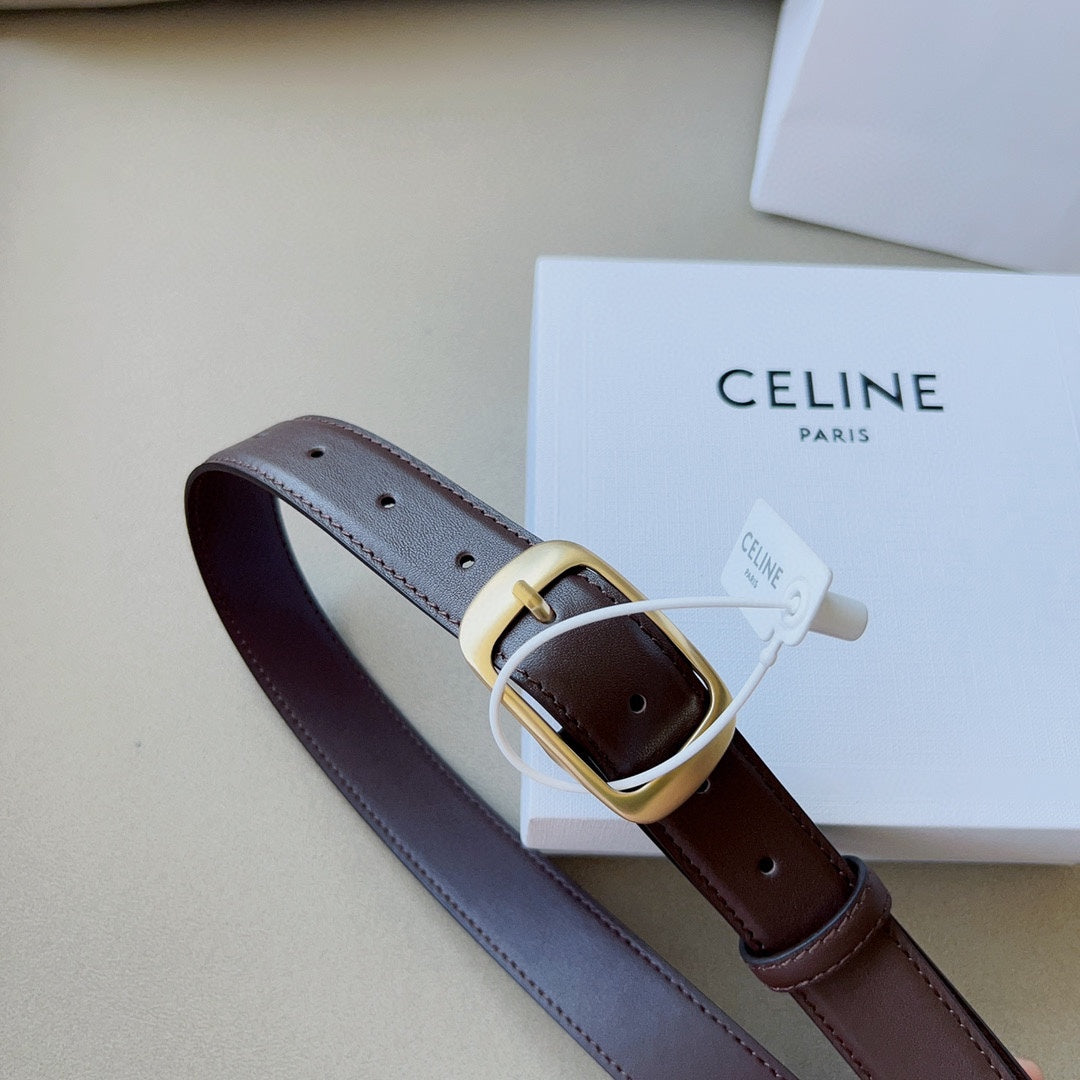 P1W15N180 Popular   High quality belt With full package