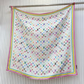 W1Z35E201 Popular Silk Scarve