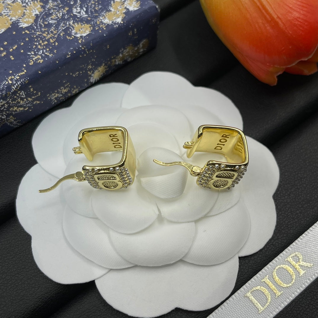 X1Z94D774E Popular  Earrings