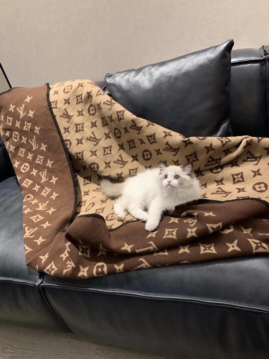 W1R86E27 Popular blanket