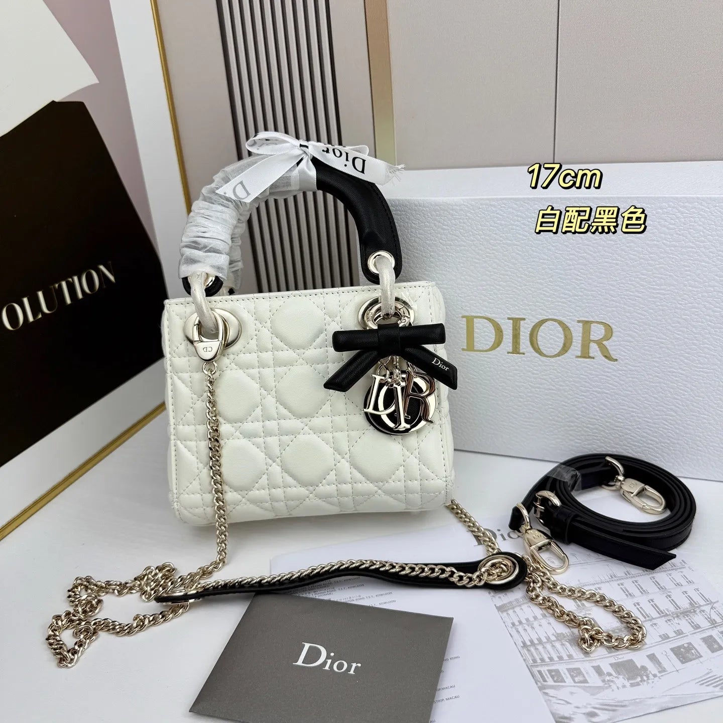 B1R66D1 Popular leather bag
