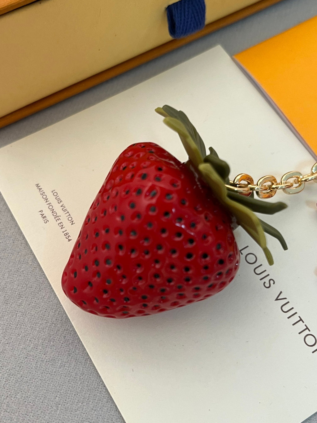 A1Z105E19 Popular bag 's charms accessories