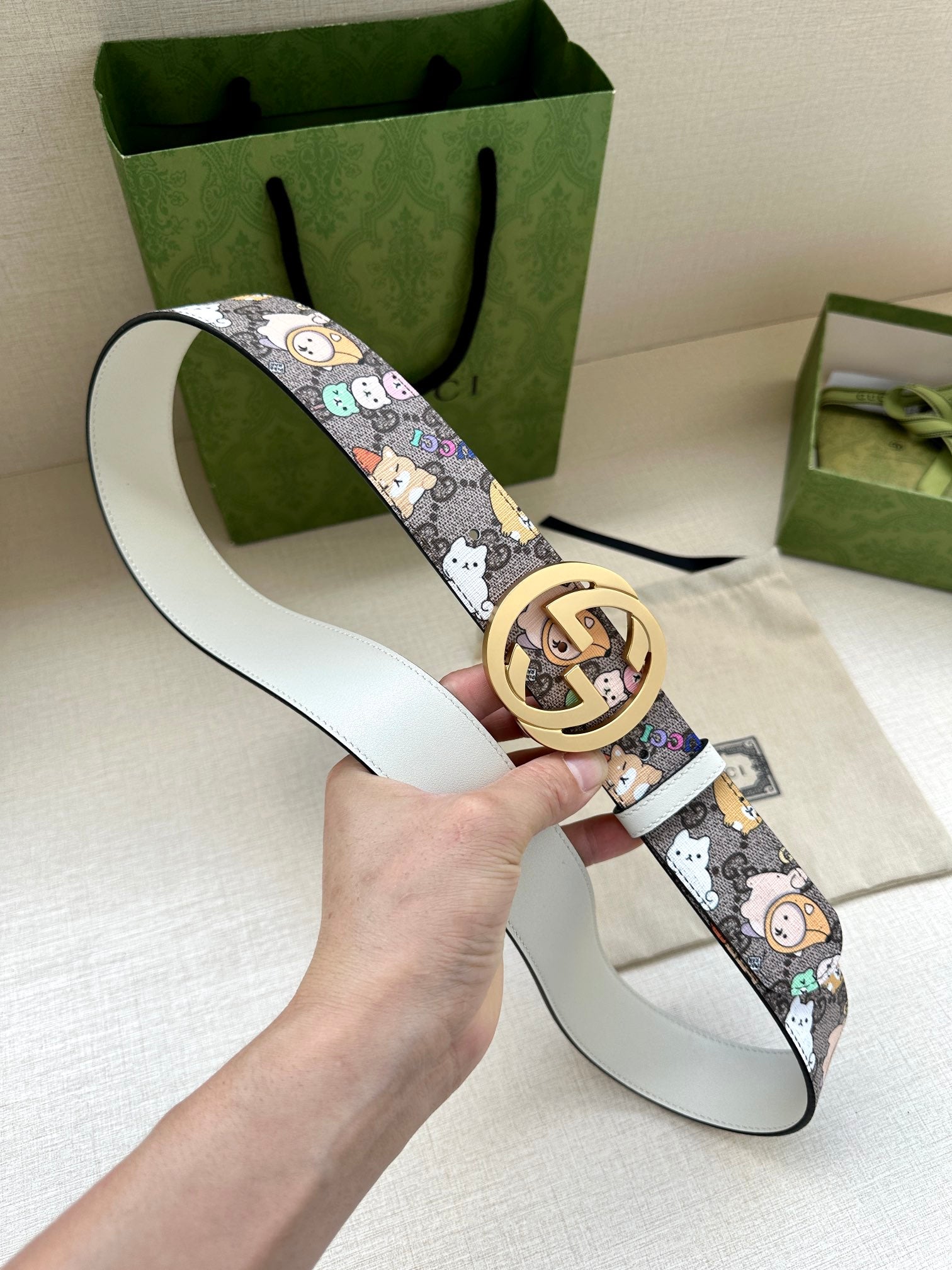 P1R55B208 Popular High quality belt With full package