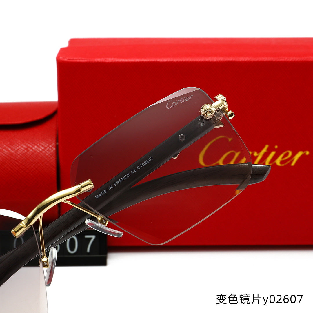 T1R86K17 Popular Sunglasses