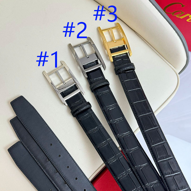 P1W15K172 Popular   High quality belt With full package