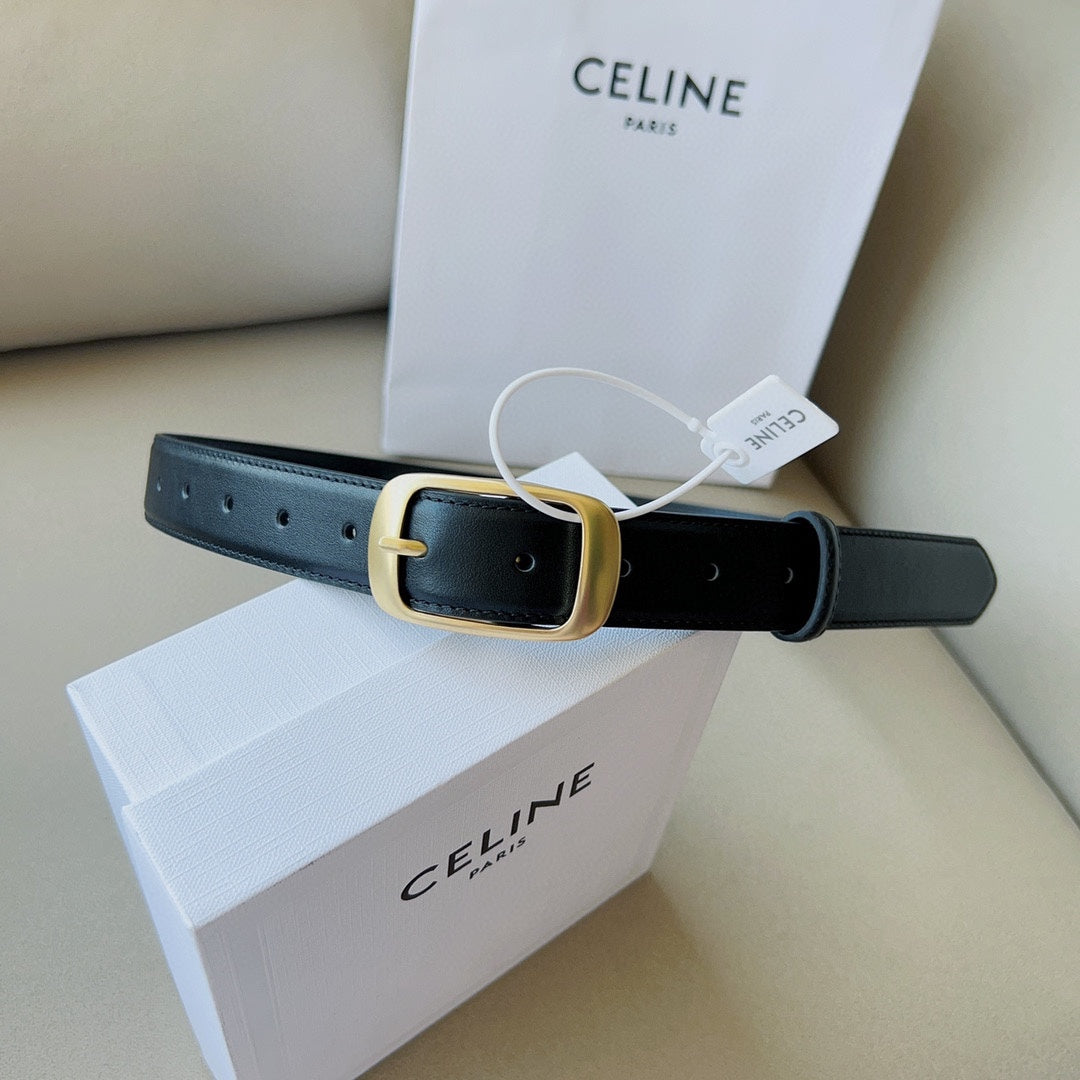 P1W15N180 Popular   High quality belt With full package