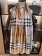 W1N55R67 Popular Silk Scarve