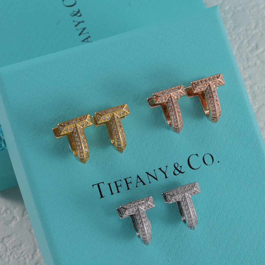 X1N95T2E  Popular Earrings