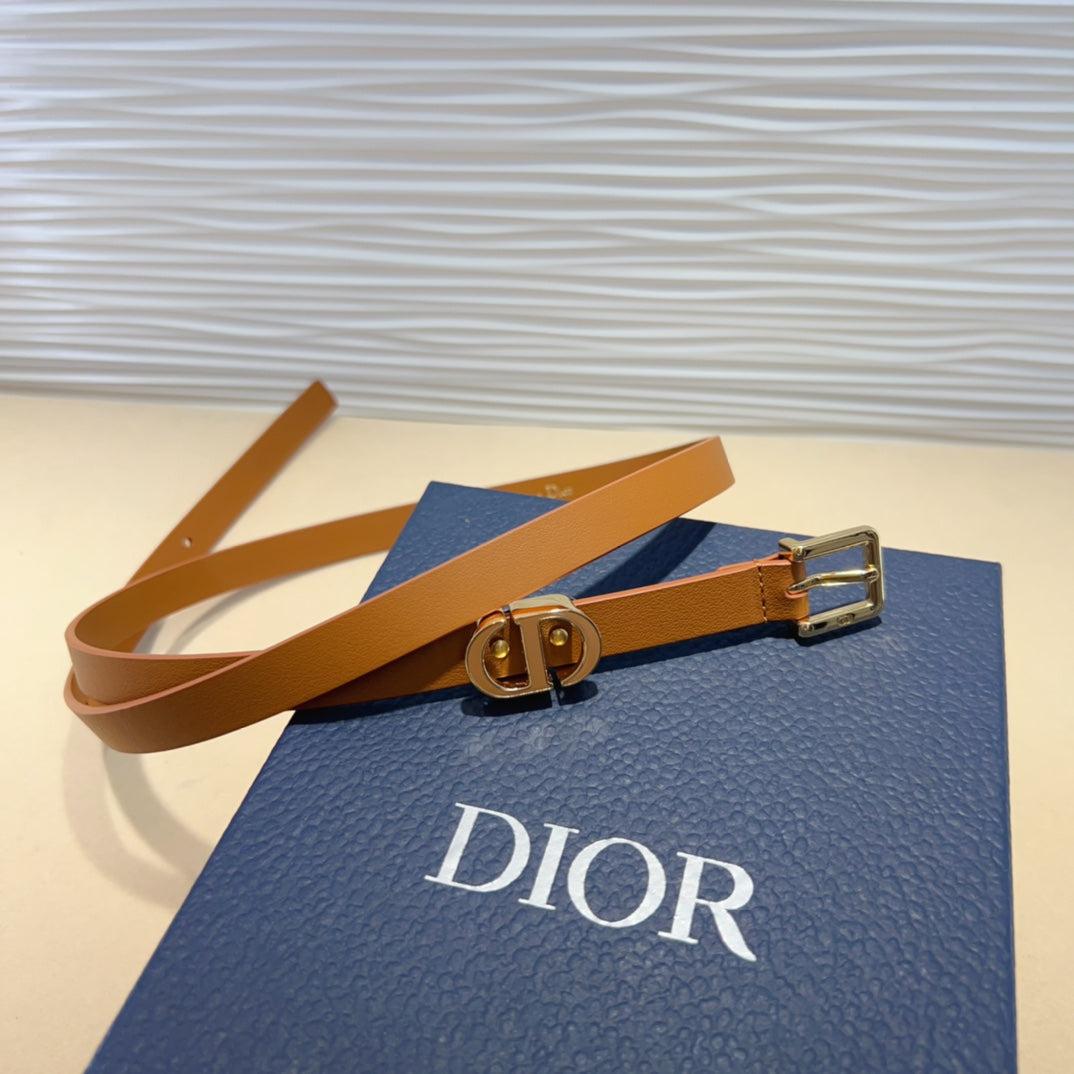 P1W15D181 Popular   High quality belt With full package