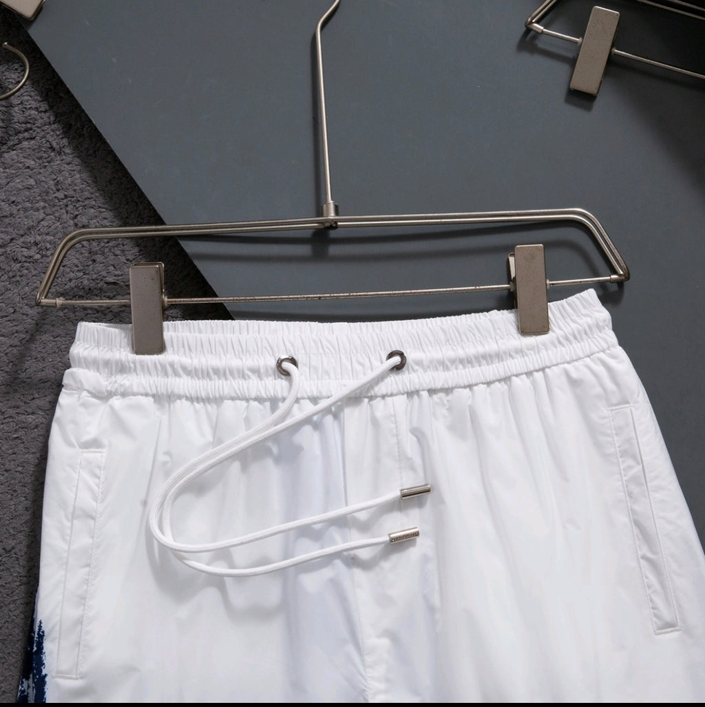 U1R76E13 Popular Men's trunks