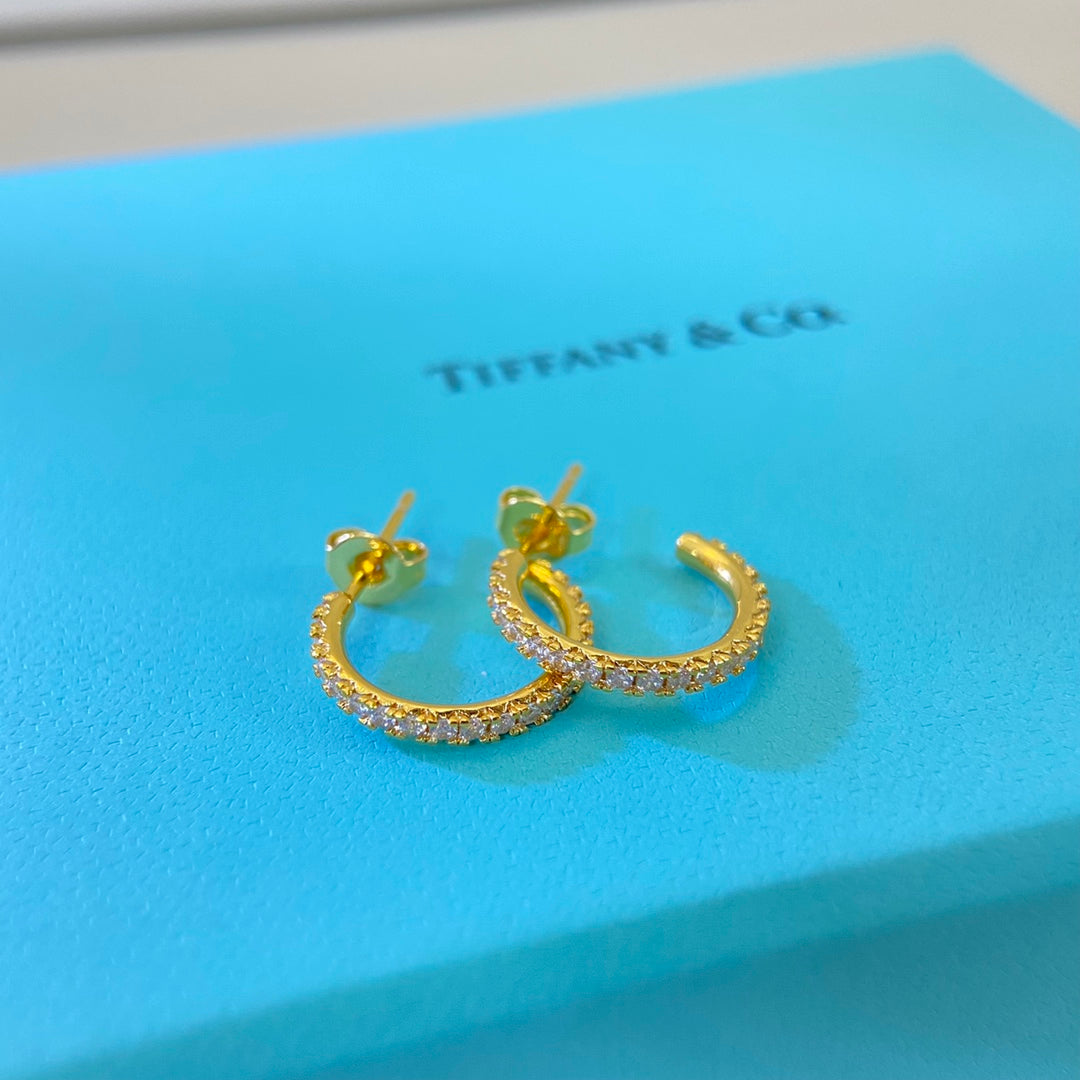 X1Z95T10E Popular Earrings
