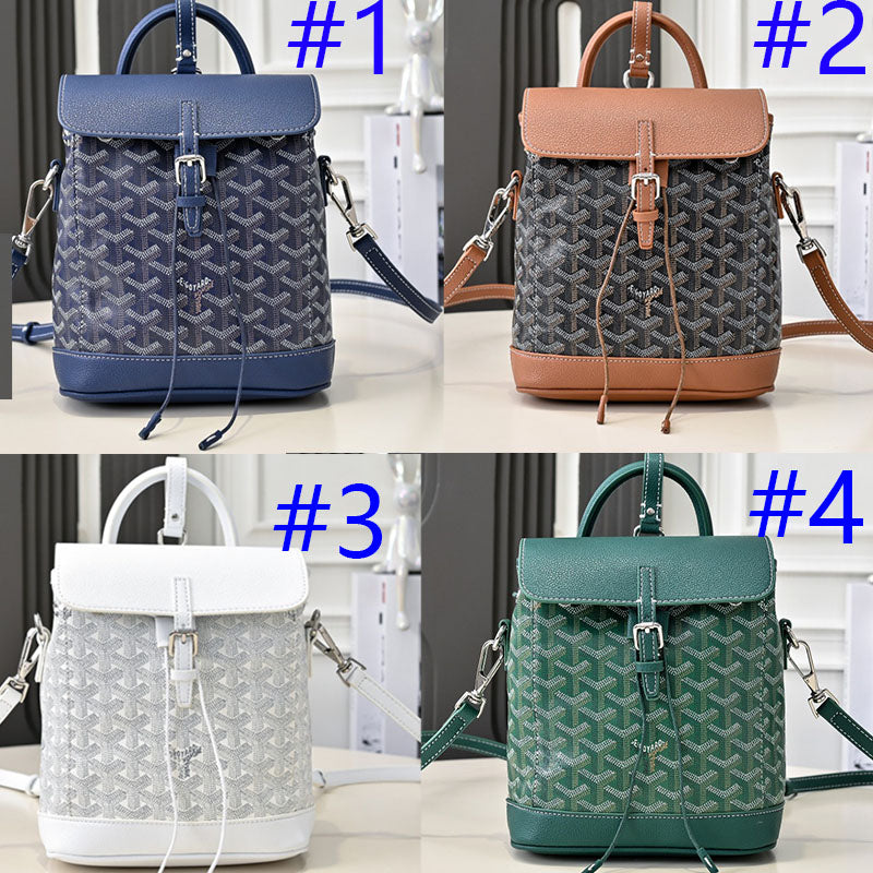 B1W35A105 Popular bag