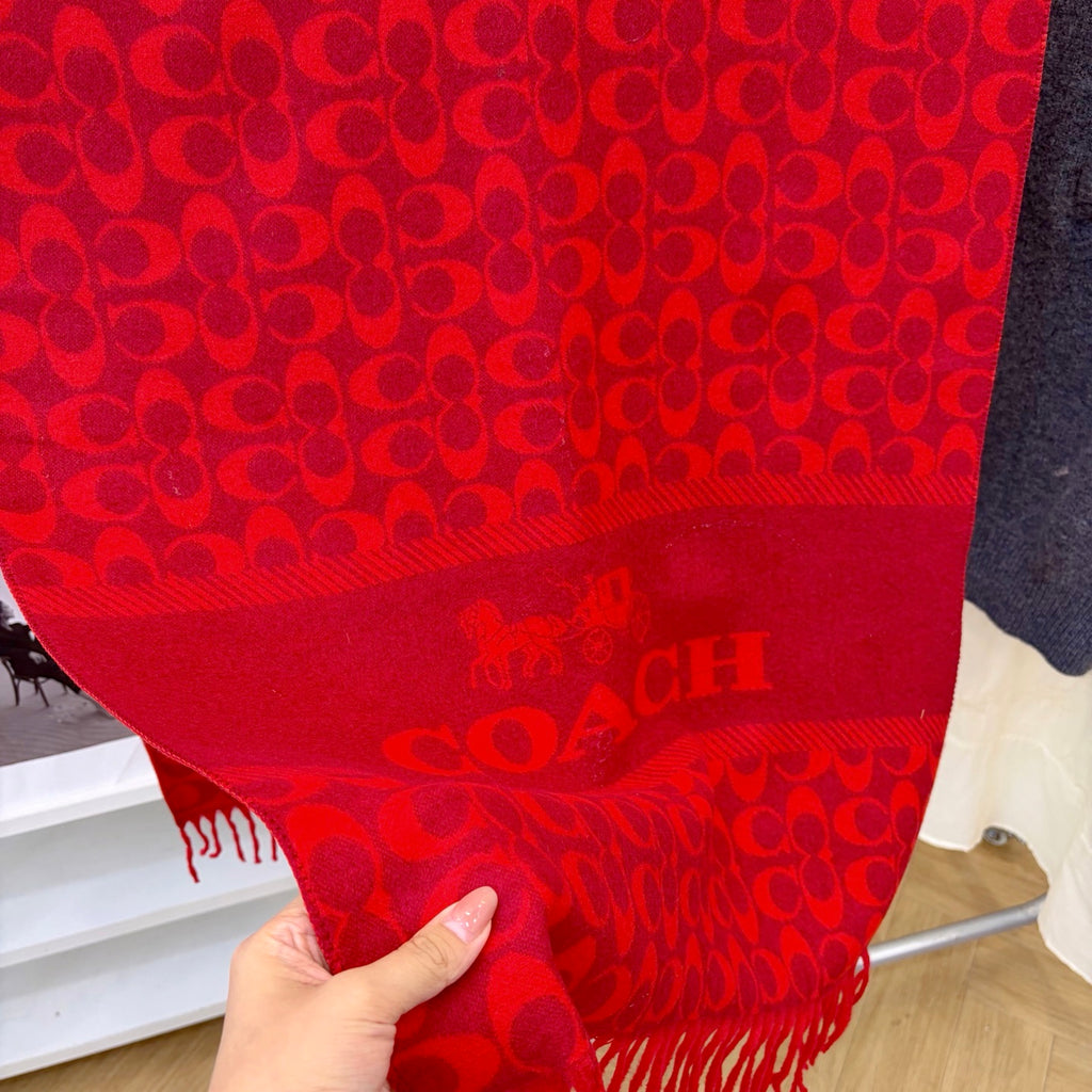 W1R86A2 Popular Winter Scarves