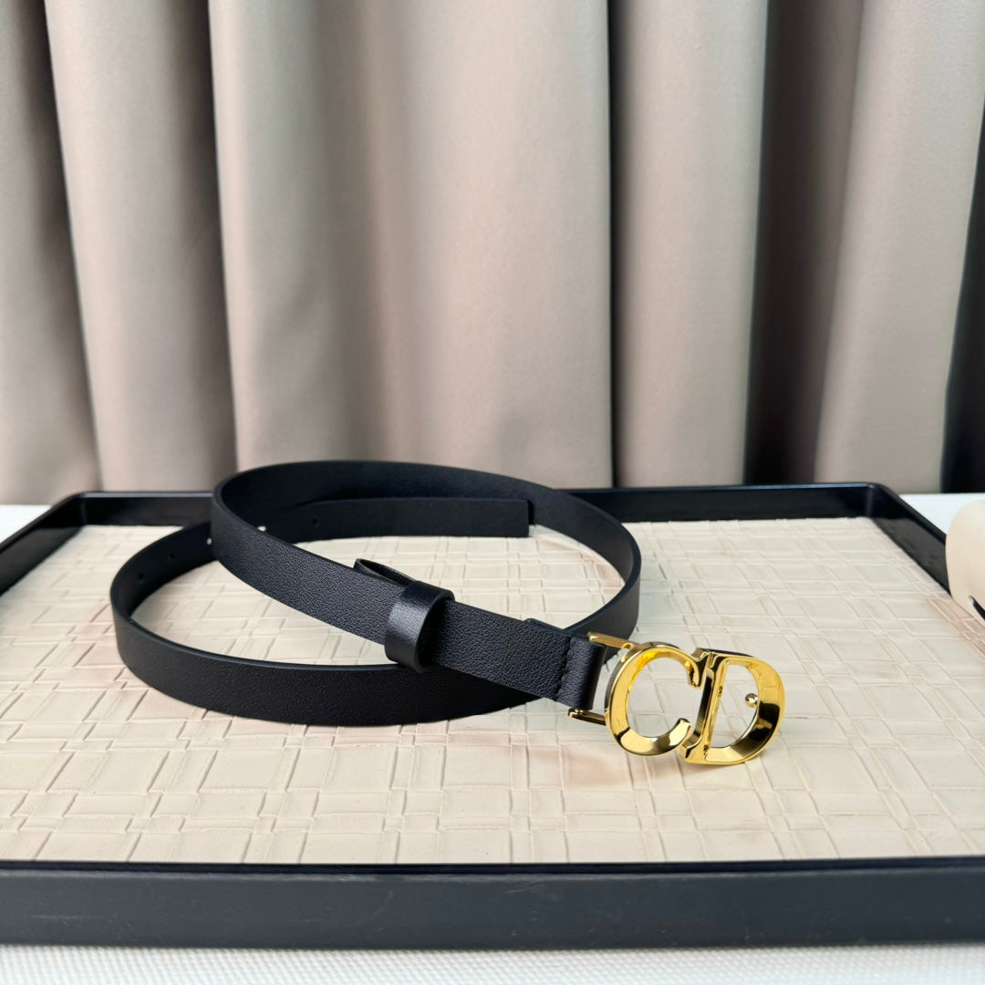 P1Q64D18 Popular   High quality belt With full package