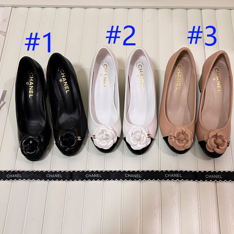 Z1RC267 Popular shoes