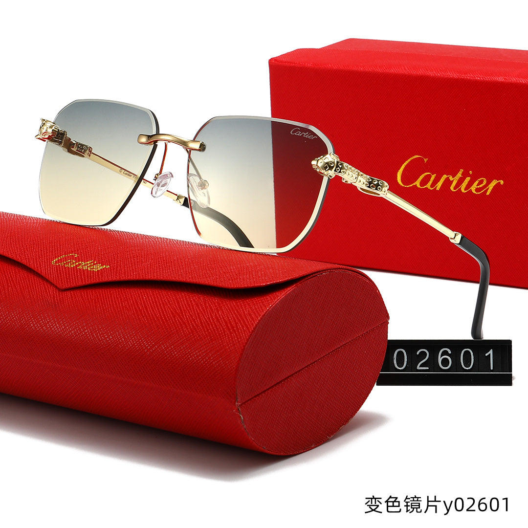 T1R86K13 Popular Sunglasses
