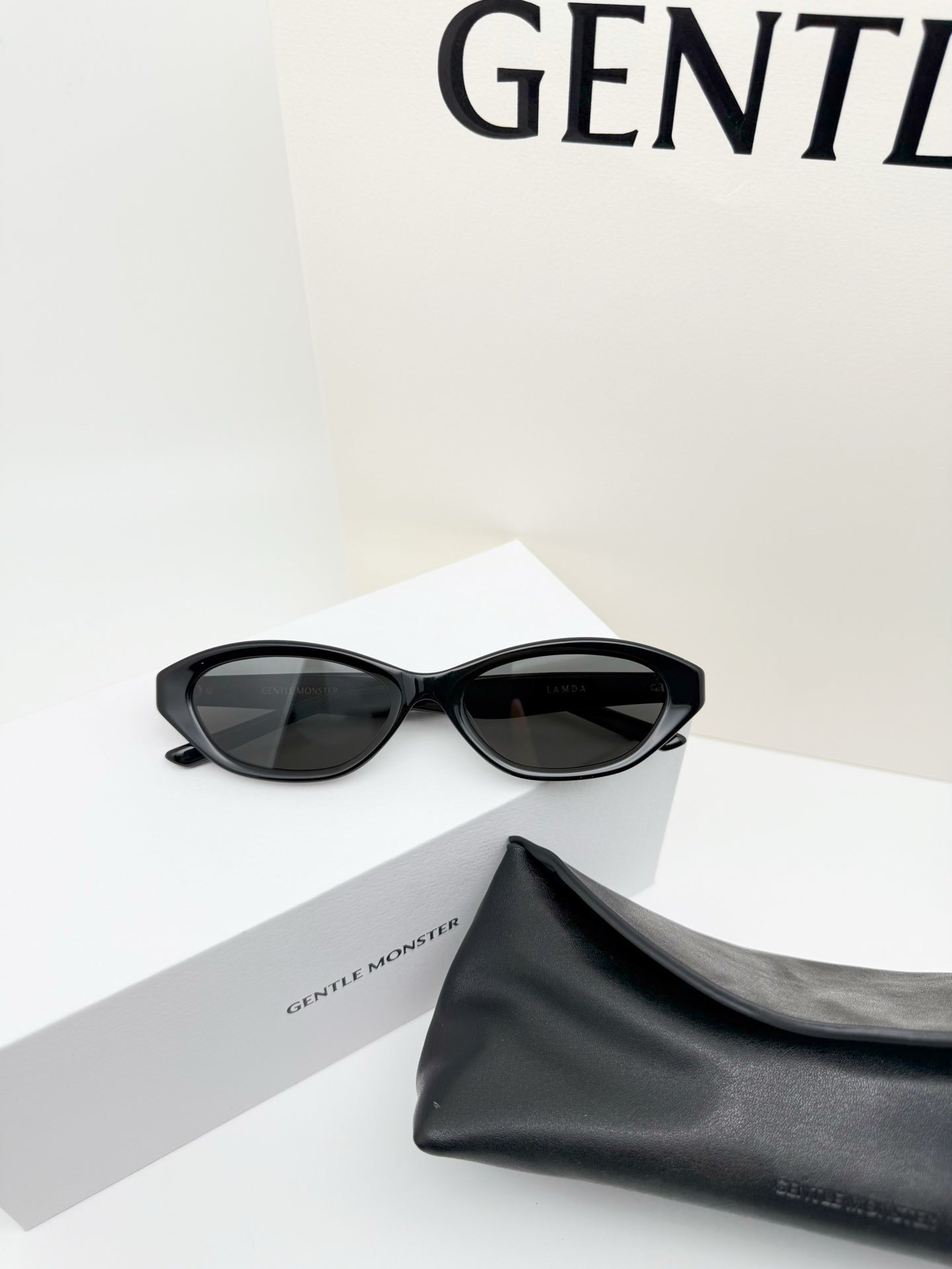 T1N36A76 Popular Sunglasses