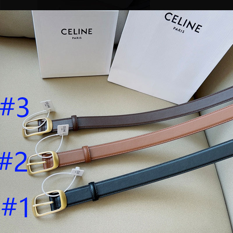 P1W15N180 Popular   High quality belt With full package