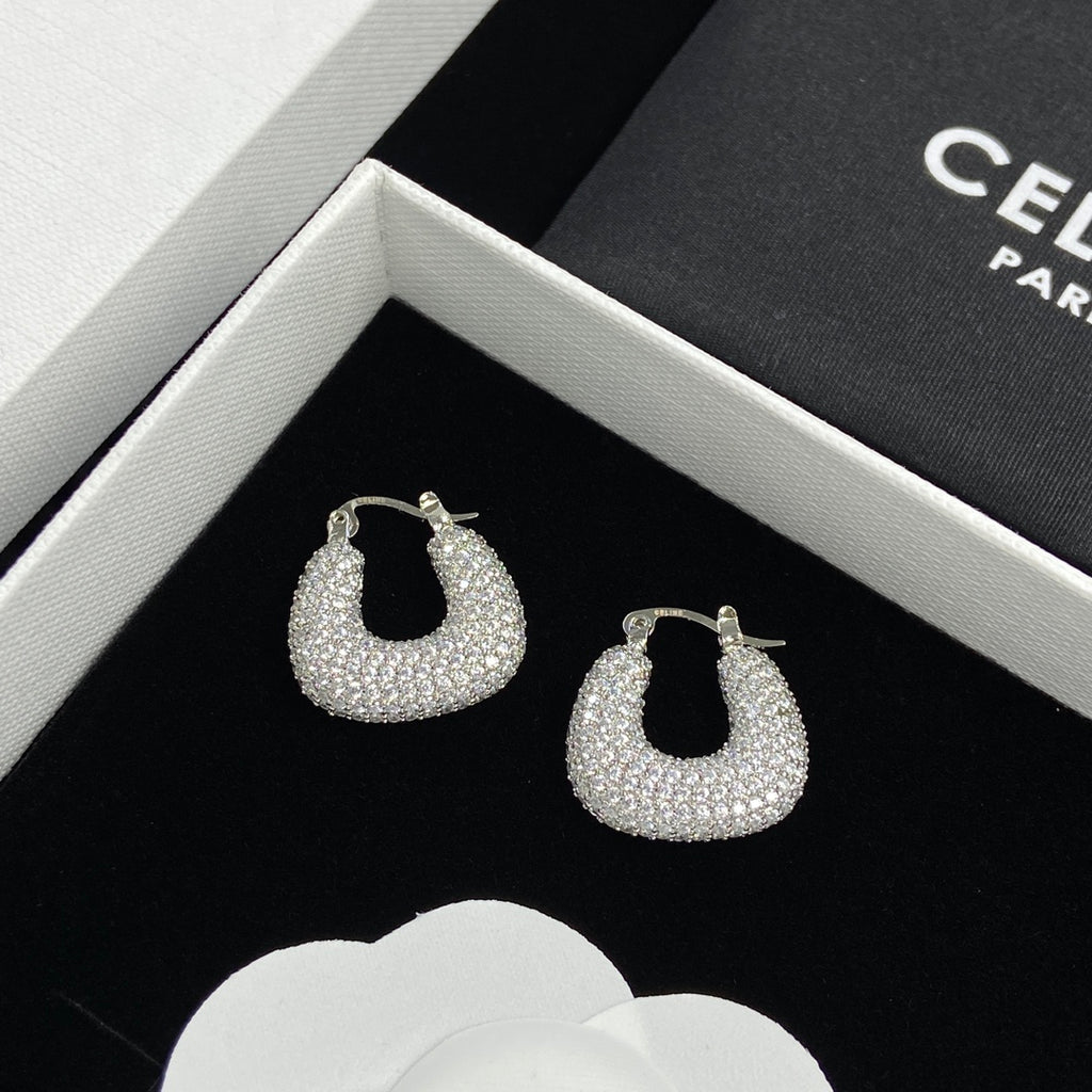 X1Z34CL245E Popular  Earrings