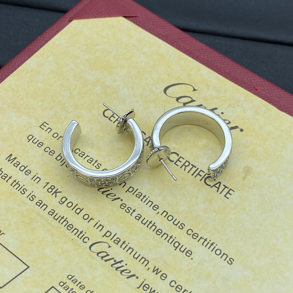 X1Z94K878E Popular  Earrings