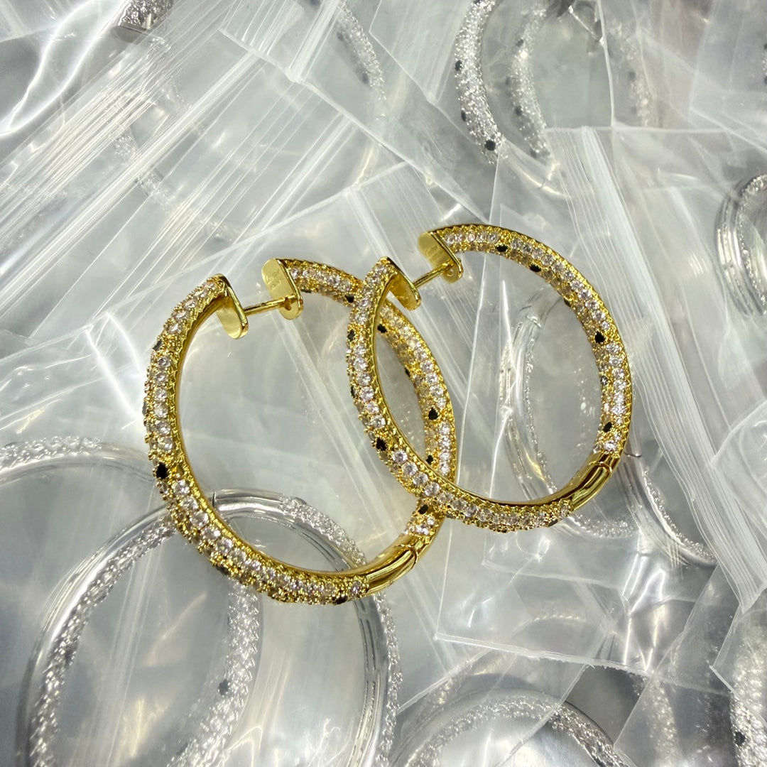X5N46K10E Popular   Earrings