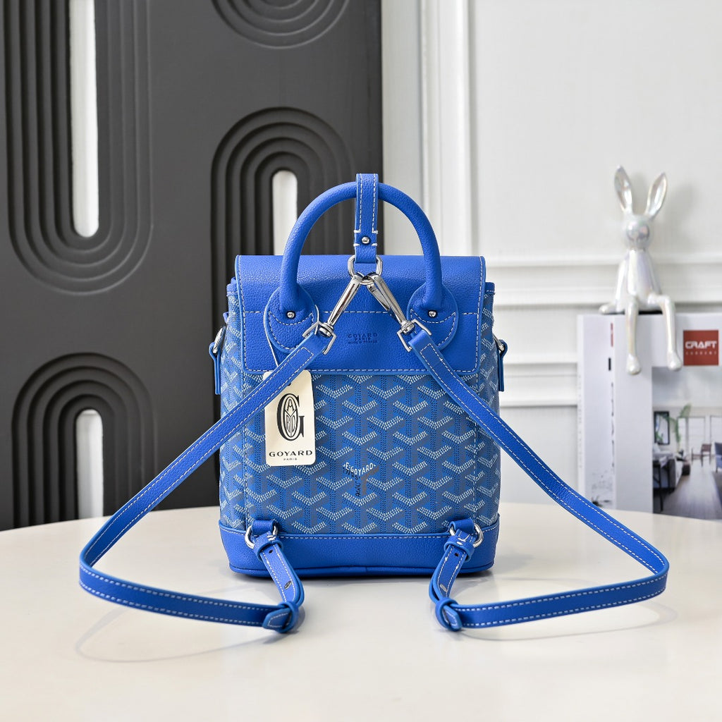 B1W35A105 Popular bag