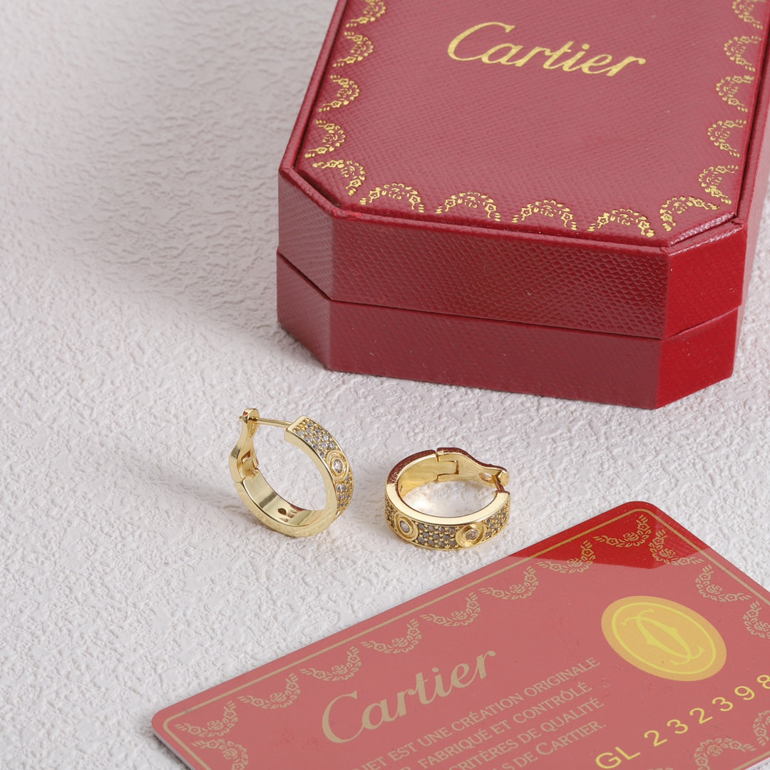 X1Y83K13E Popular    Earrings