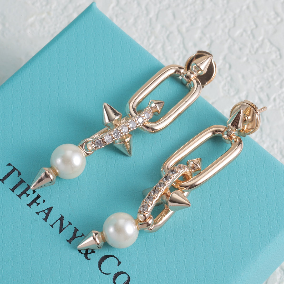 X1Z95T83E Popular Earrings
