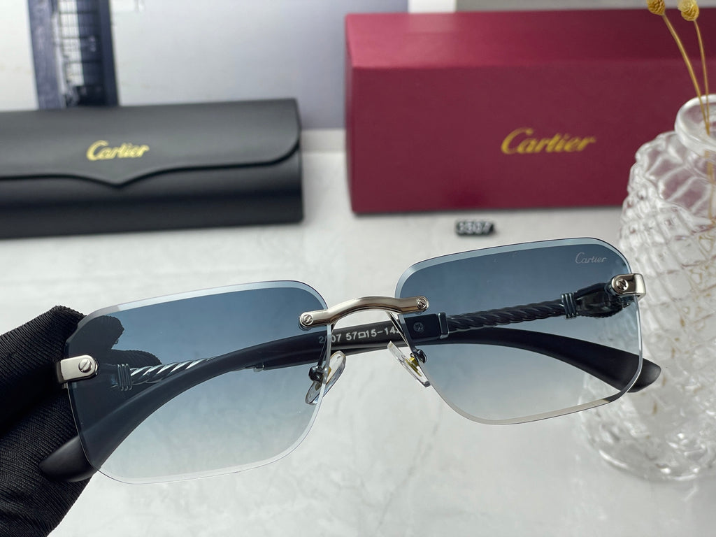 T1R46K24 Popular Sunglasses