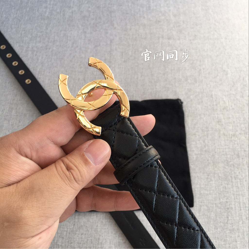 P1P36C15 Popular High quality belt With full package