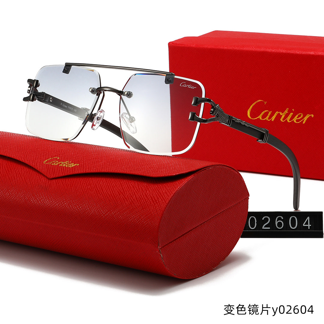 T1R86K15 Popular Sunglasses