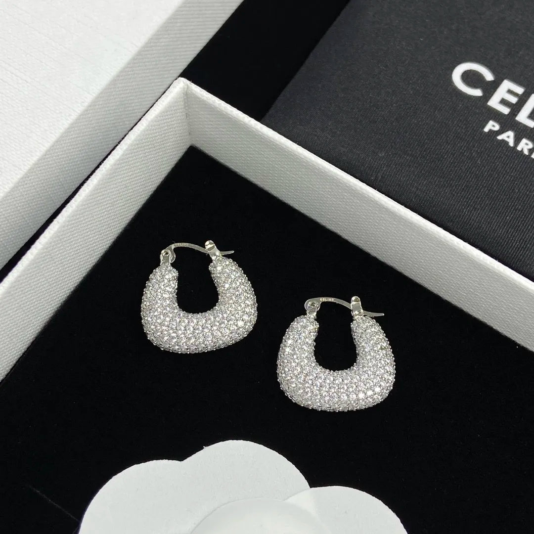 X1Z34CL245E Popular  Earrings