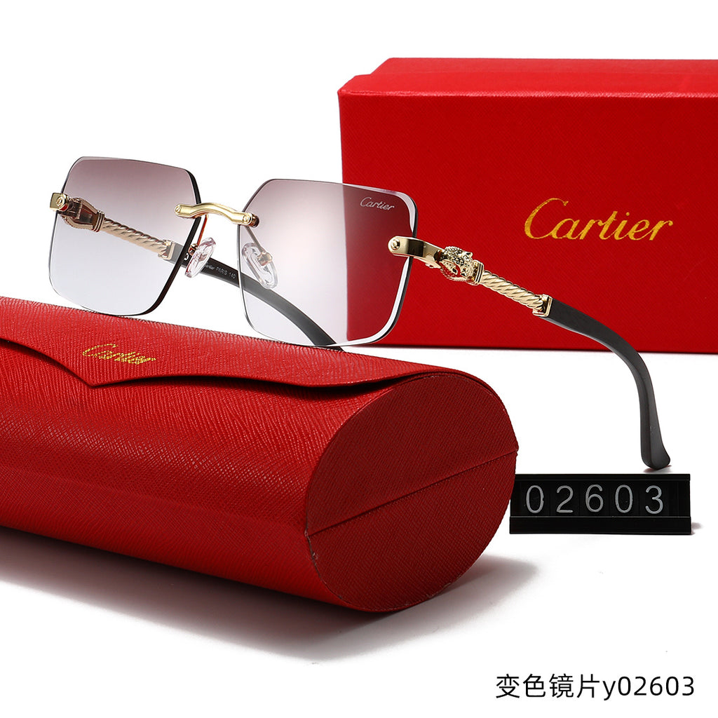 T1R86K12 Popular Sunglasses
