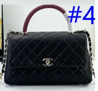 B1N55C24 Popular    Purse bags
