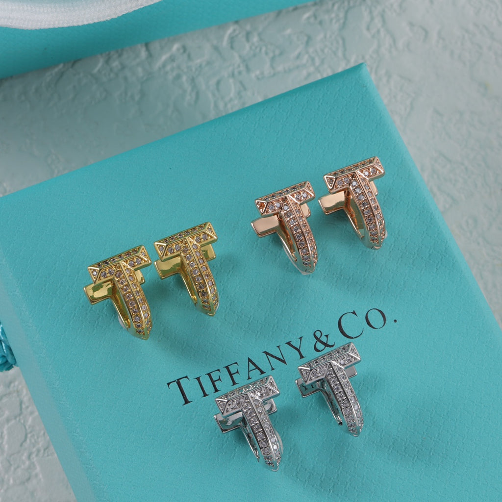 X1N95T2E  Popular Earrings