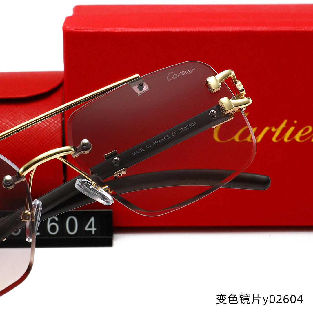 T1R86K15 Popular Sunglasses