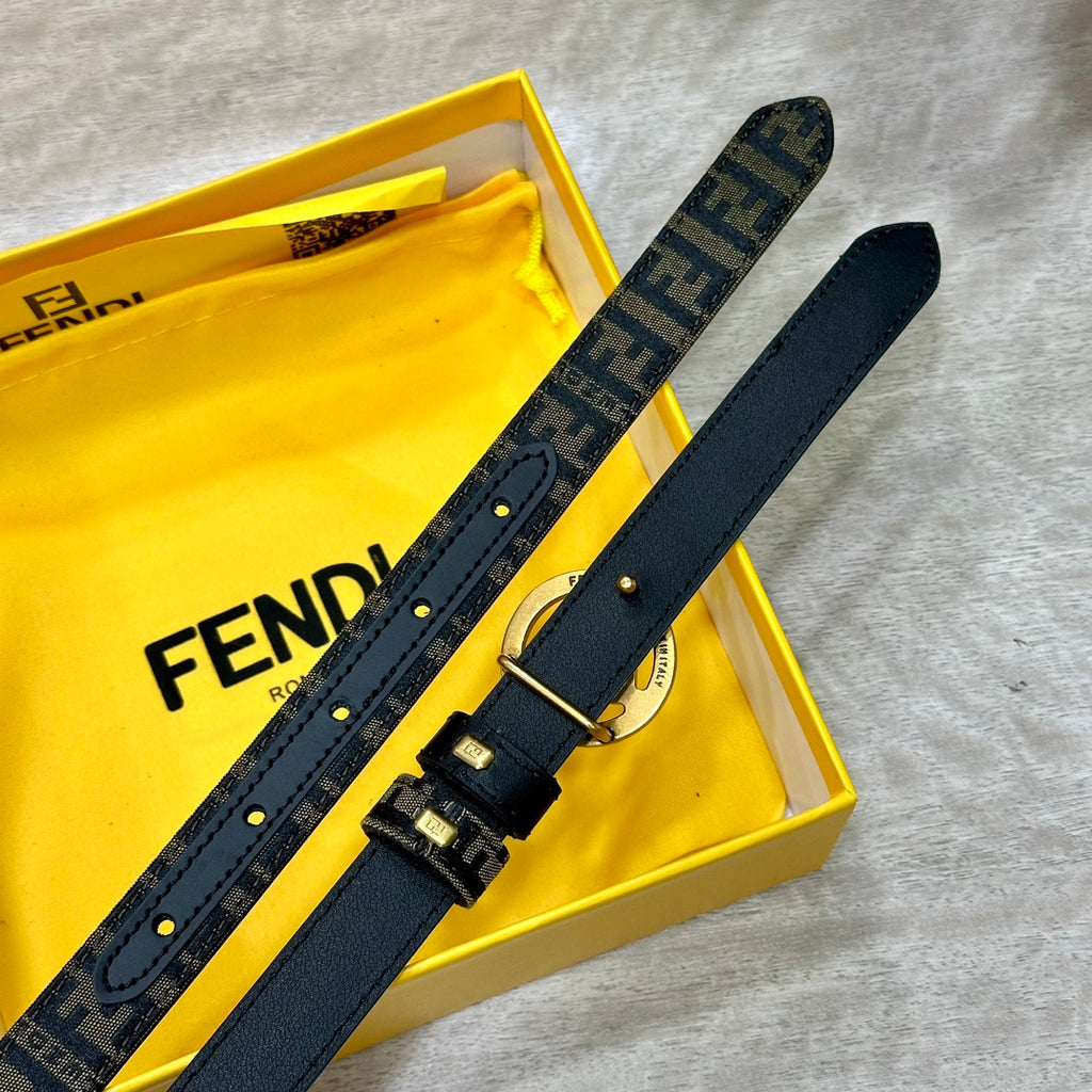 P1W15F176 Popular High quality belt With full package