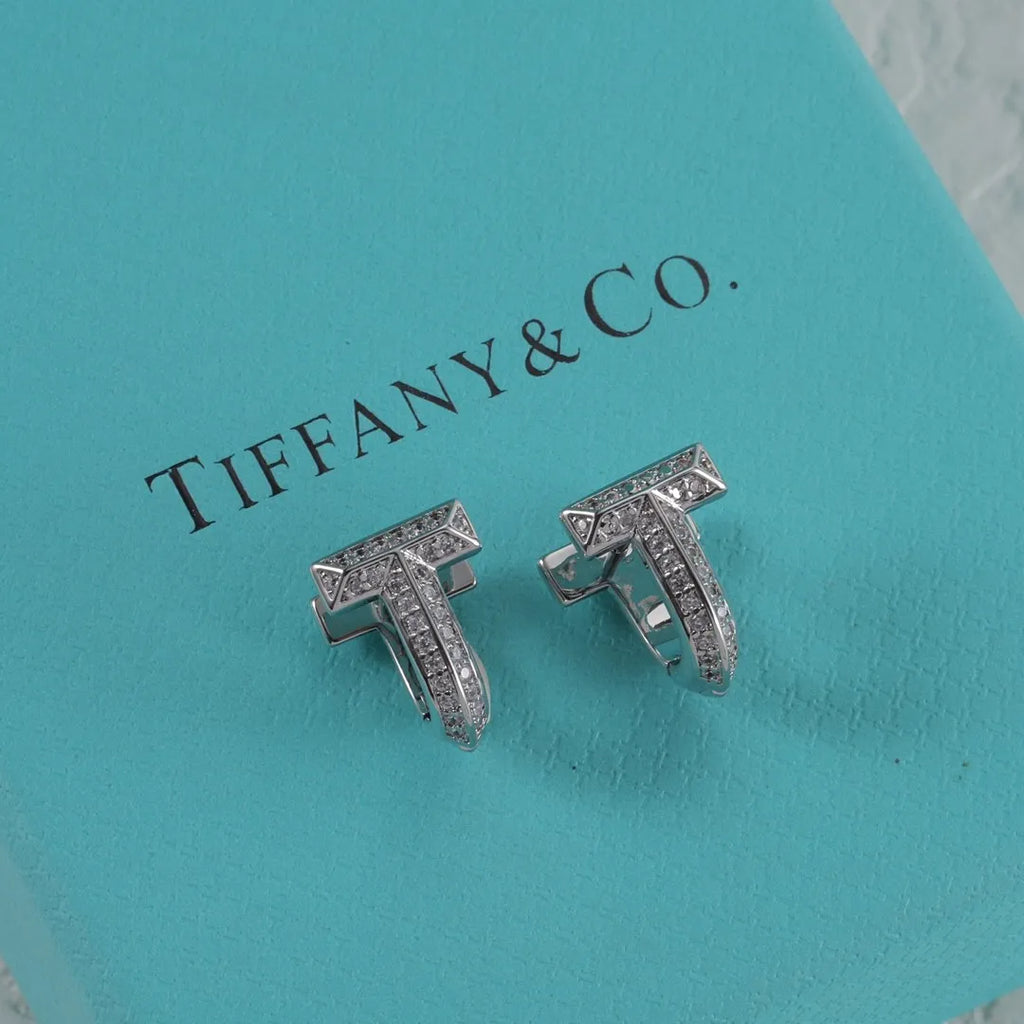 X1N95T2E  Popular Earrings
