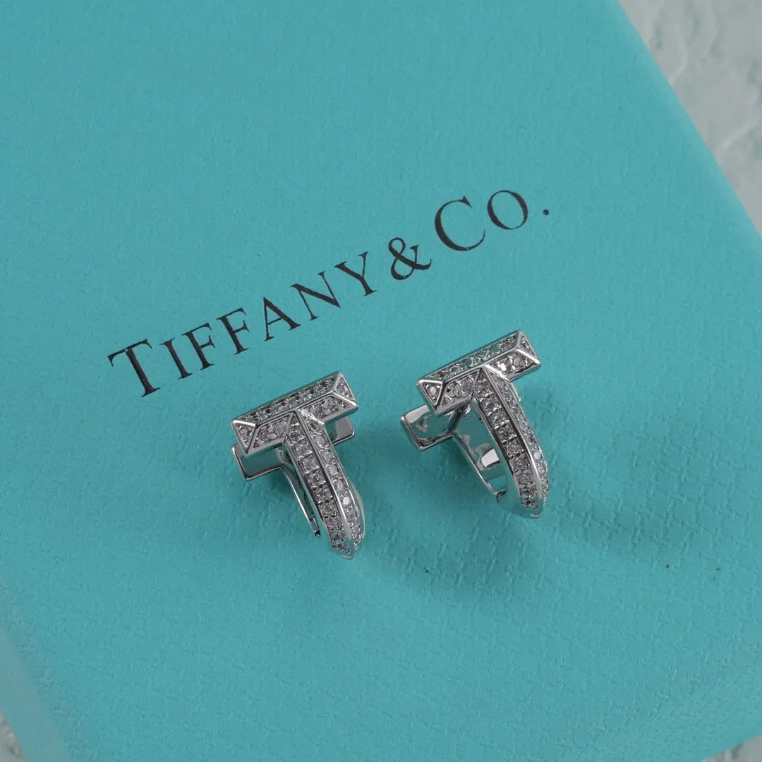 X1N95T2E  Popular Earrings
