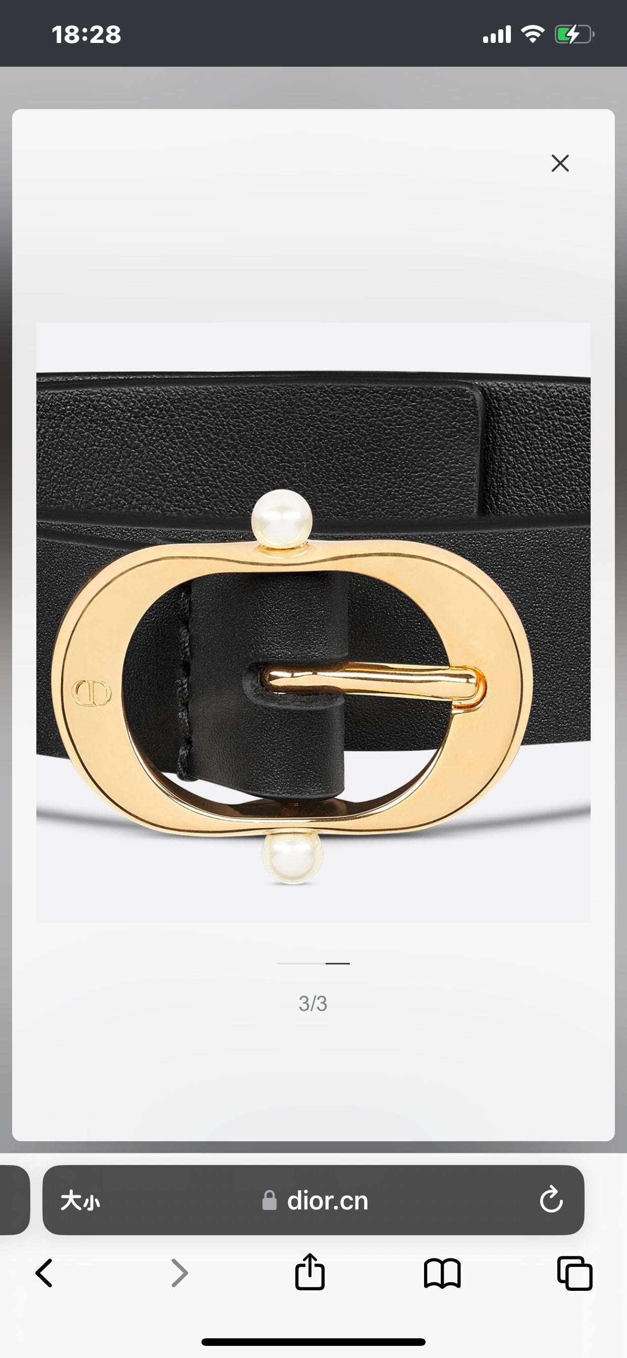 P1R55D204 Popular  High quality belt With full package