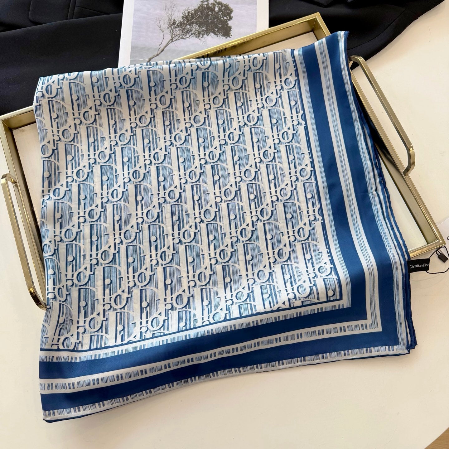 W1N46D11 Popular Silk Scarve