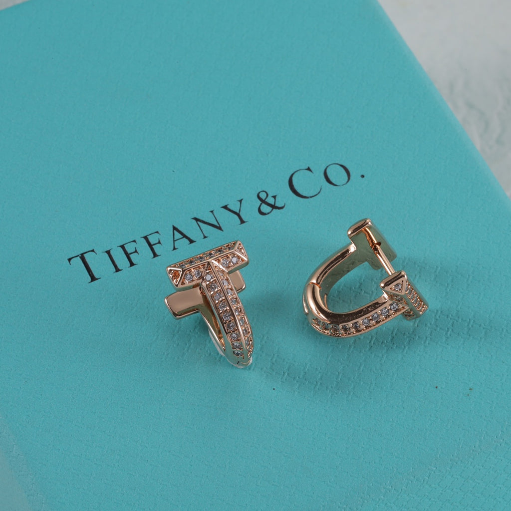 X1N95T2E  Popular Earrings